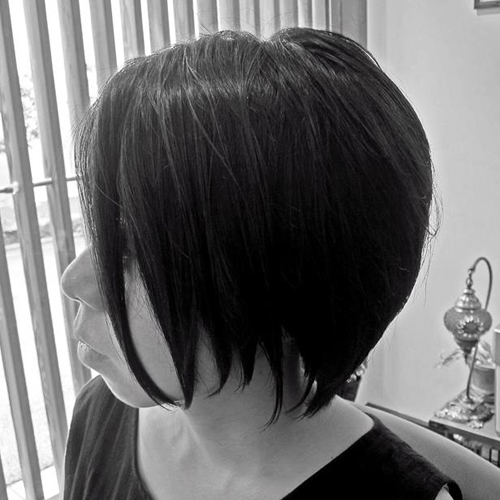 �M�������[�摜