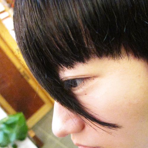 �M�������[�摜