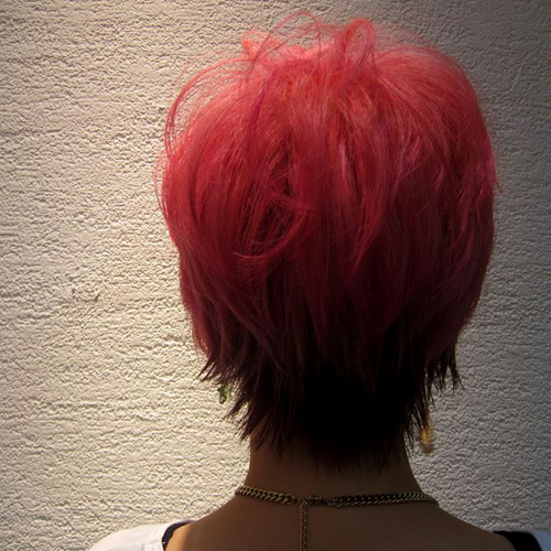 �M�������[�摜