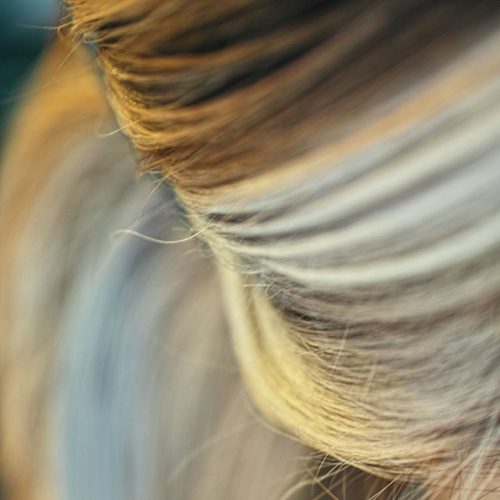 �M�������[�摜