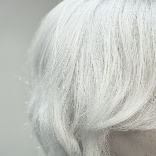 �M�������[�摜