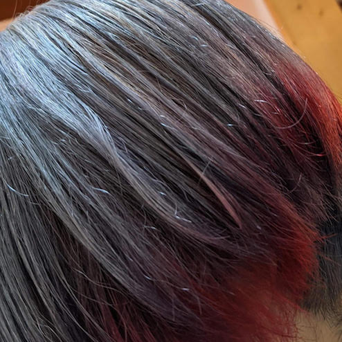 �M�������[�摜