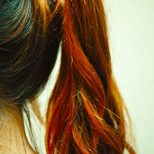 �M�������[�摜