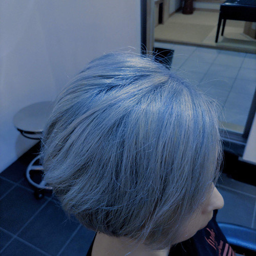 �M�������[�摜